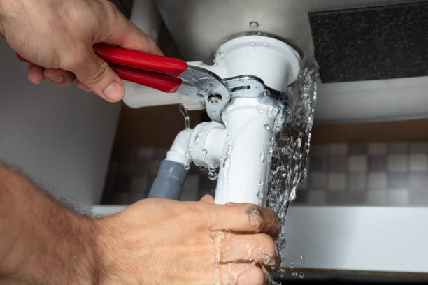 Best Flood restoration services  in Meridian, MS