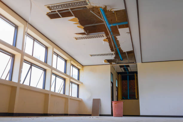 Best Water damage restoration near me  in Meridian, MS