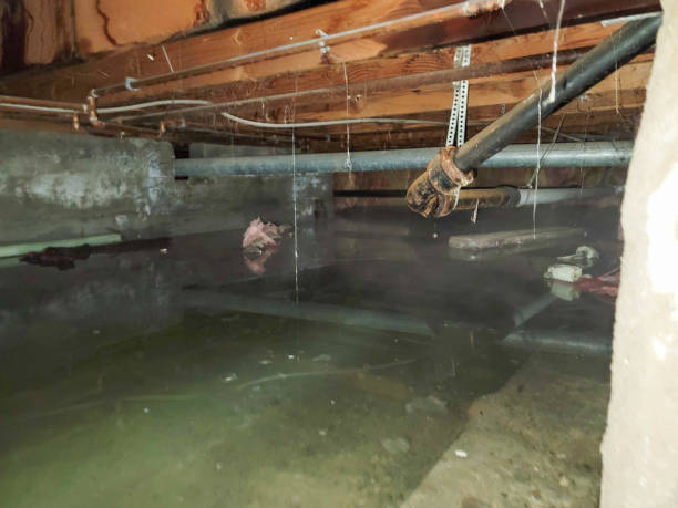 Best Sewage cleanup and water damage restoration  in Meridian, MS