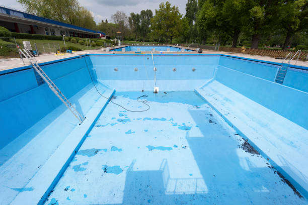 Best Water damage contractors near me  in Meridian, MS