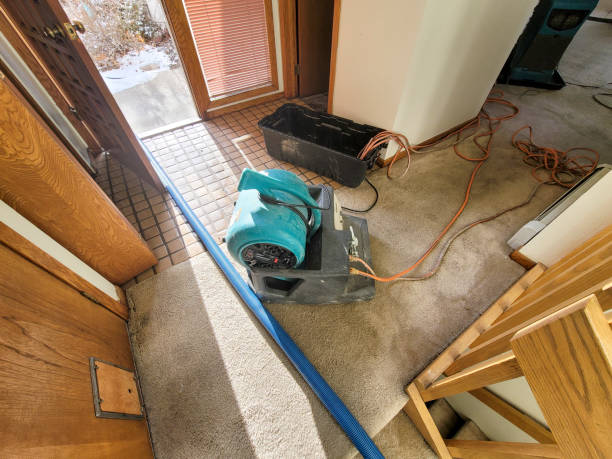 Fire Damage Restoration in Meridian, MS
