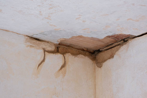 Best Local water damage restoration  in Meridian, MS
