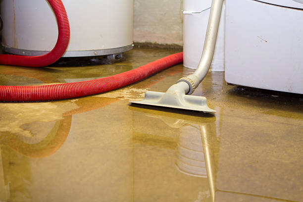 Best Basement water damage restoration  in Meridian, MS