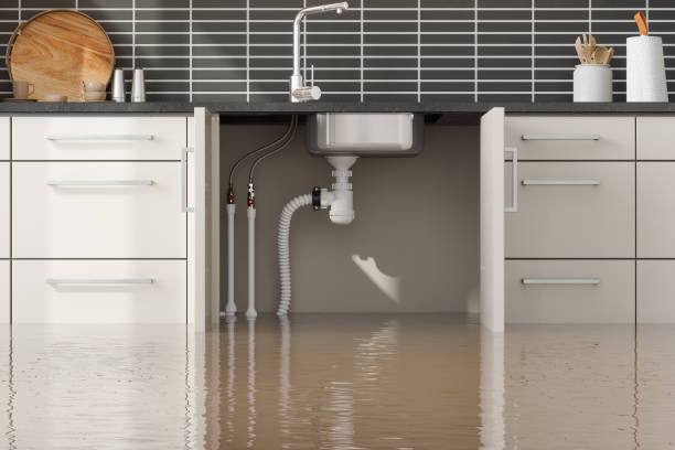 Best Flood damage cleanup  in Meridian, MS