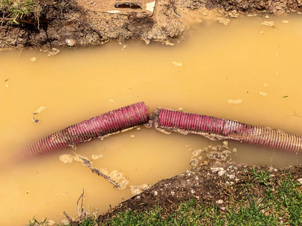 Best Water damage restoration process  in Meridian, MS