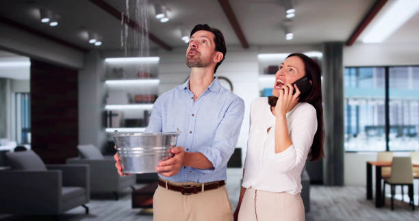 Best Mold removal after water damage  in Meridian, MS