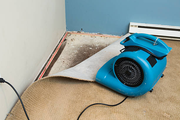 Best Residential water damage restoration  in Meridian, MS